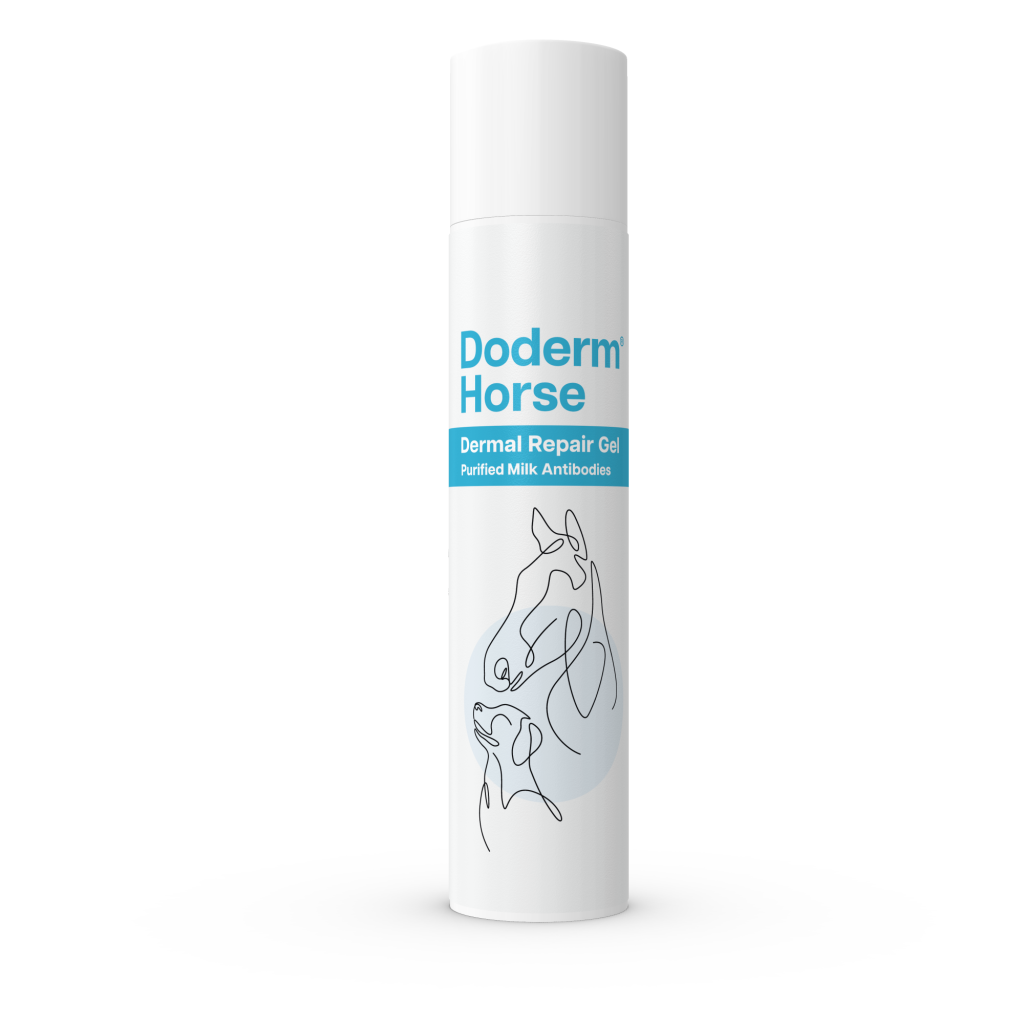 Doderm Horse